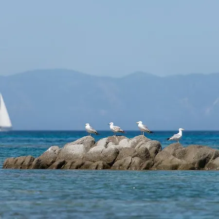 アパート Theodoroula House *