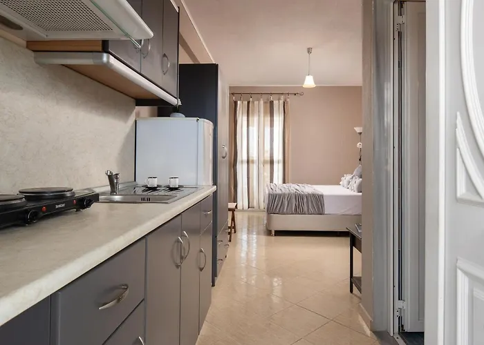 公寓 Theodoroula House 萨尔蒂